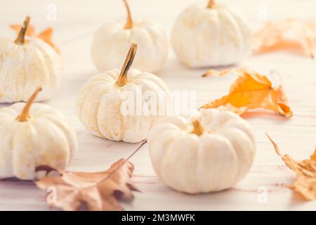 White pumpkins with autumn leaves on wooden background in vintage style. Thanksgiving and Halloween concept. Stock Photo