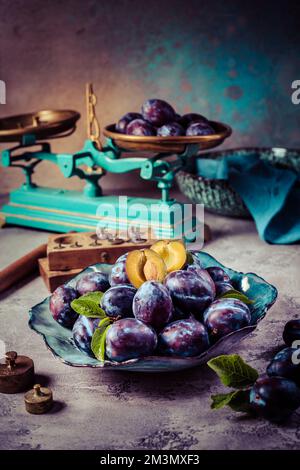 Freshly picked prune plums (Zwetschgen) fruits in bowl Stock Photo