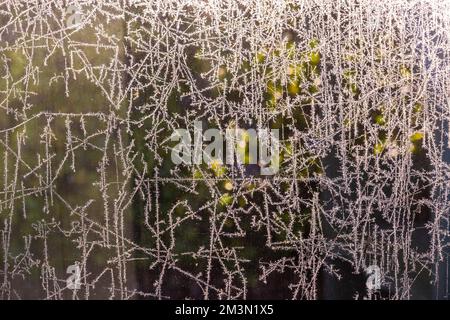 Poole, Dorset UK. 16th December 2022. UK weather: a cold frosty morning at Poole, Dorset creates beautiful delicate frost patterns of nature on the glass. Credit: Carolyn Jenkins/Alamy Live News Stock Photo