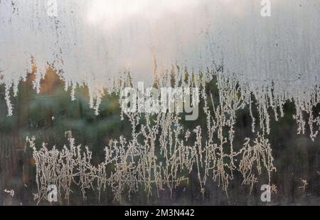 Poole, Dorset UK. 16th December 2022. UK weather: a cold frosty morning at Poole, Dorset creates beautiful delicate frost patterns of nature on the glass. Credit: Carolyn Jenkins/Alamy Live News Stock Photo