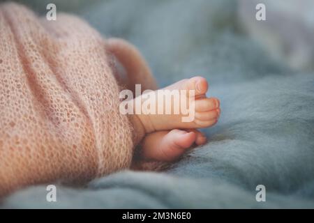 Close up newborn baby's feet wrapped in soft knitted blanket Stock Photo