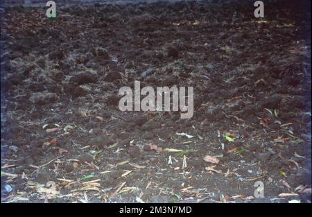 Soil, also commonly referred to as earth or dirt, is a mixture of ...