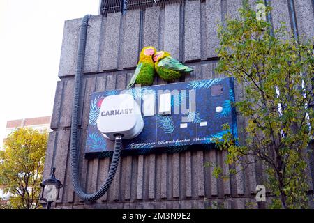 Christmas Carnaby giant wall plug and socket street art with two birds near Carnaby Street London England UK December 2022 Great Britain Stock Photo