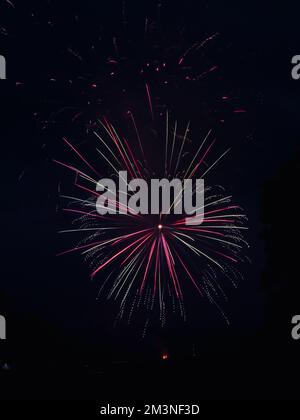 bright vibrant fireworks against a black sk Stock Photo