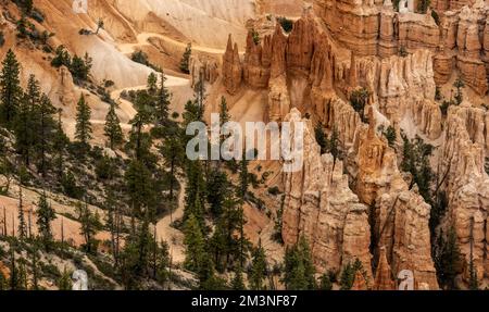 Dirt Trail Winds Through Trees Next to Hoodoos in Bryce Canyon Stock Photo