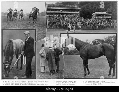 The British thoroughbred racehorse, Bayardo, wins the Eclipse Stakes at the Sandown Park meeting.     Date: 1909 Stock Photo