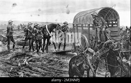 Ambulance for wounded horses, World War One Stock Photo