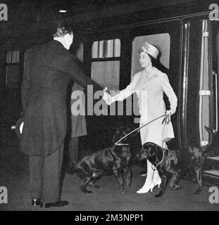 Queen Elizabeth II returns from Balmoral with dogs Stock Photo