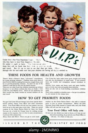 Issued by the Ministry of Food, to make adults aware what food and drink to give their under fives, so they will grow healthy.  Milk, for firm muscles, straight bones and for its growth-promoting vitamins.  Cod liver oil, helps make bones straight and aids the development of sound teeth.  Orange, helps keep teeth and gums healthy.  Eggs, rich in body building nourishment children need.  Fruit is a healthy treat. You could receive coupons in your green ration book for cod liver oil and orange juice, milk was at a reduced price, or free in certain circumstances.     Date: 1948 Stock Photo