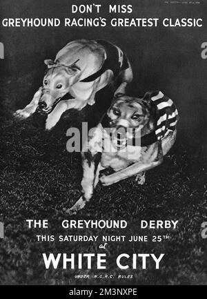 Advertisement for the Greyhound Derby held at White City stadium track on 25 June 1938.  'Don't miss greyhound racing's greatest classic'.  1938 Stock Photo