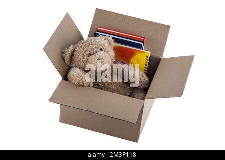 Teddy Bear in cardboard box isolated on white background Stock Photo