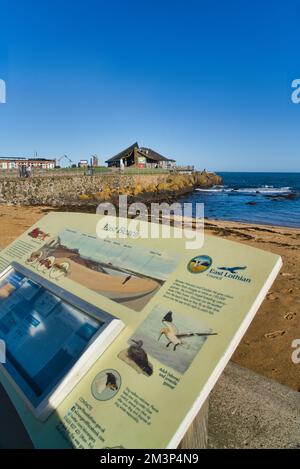 North Berwick Beach, looking west to Scottish Seabird Cantre.  Sea View over River Forth Estuary, visitors enjoying autumn sunshine.  Beautiful clear Stock Photo