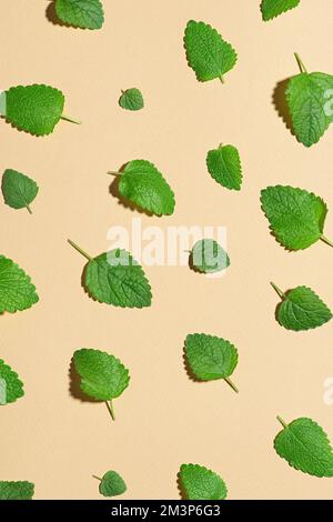 green melissa mint leaves on beige background Stock Photo