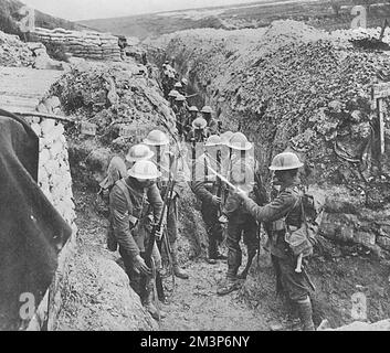 Trench of Bayonets First World War memorial, Verdun Stock Photo - Alamy