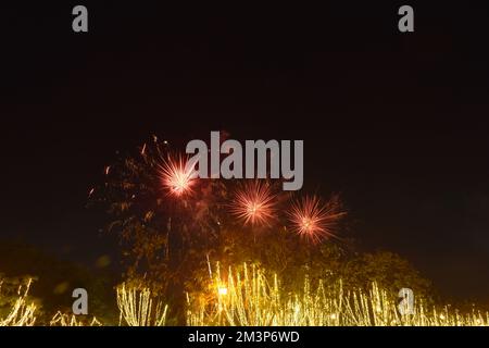 fireworks explosive on dark sky in night Stock Photo