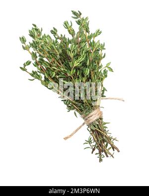 Stove of wild thyme on a white isolated background Stock Photo