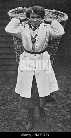 Miss M. G. Gowing, of the Norfolk Ladies' hockey team, releasing men for the war, by working on an Essex farm during the First World War.       Date: 1916 Stock Photo