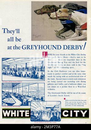 'They'll all be at the Greyhound Derby'!  Advert for White City greyhound racing stadium, showing the buffet and dinning galleries, view of the tracks from the club enclosure, and the ballroom members' lounge.     Date: 1932 Stock Photo
