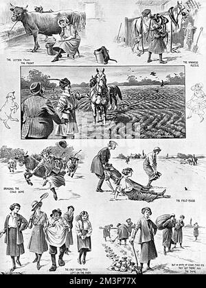 Page of illustrations depicting the trials and tribulations of women working on the land in place of men during the First World War.  The sketches are a little chauvinistic, showing women terrified of mice, ploughing in wavy lines and spending time writing letters to sweethearts rather than milking cows but the final picture confirms with grudging approval that despite all these alleged mishaps, they 'get there' all the same. Stock Photo