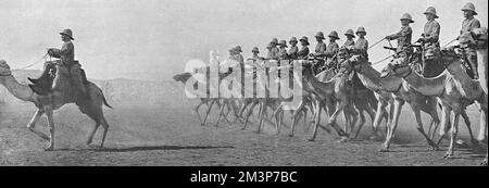 A British Camel Corps in the Sudan during the First World War.  A similar Camel Corps to that shown helped to defeat the troops of the Sultan of Darfur (Ali Dinar) with Brtish casualties less than 30 compared to around 1000 of the enemy.       Date: 1916 Stock Photo