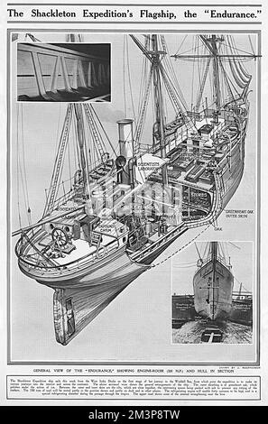 A cutaway view of the 'Endurance', the flagship of Ernest Shackleton's Imperial Trans-Antarctic Expedition, which began in 1914. Encountering pack ice, the ship became icebound in January 1915. Remaining trapped, the Endurance was abandoned, sinking, in November 1915     Date: 1914 Stock Photo