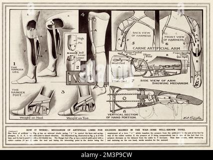 Artificial limbs for soldiers maimed in WWI Stock Photo