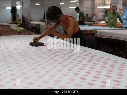 Block printing workshop, Rajasthan, Jaipur, India Stock Photo