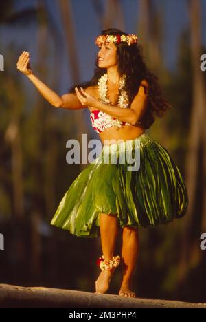 Silhouette Of Hula Dancer With Green Grass Skirt And Lei Of Flowers  Isolated On White Background Stock Illustration - Download Image Now -  iStock