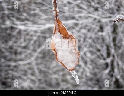 Munich, Bavaria, Germany. 16th Dec, 2022. Scenes from the Langwied district of Munich, Germany, which is under steady snowfall and minus temperatures this week after a mild November. The extremely icy conditions have led to numerous accidents on roadways. (Credit Image: © Sachelle Babbar/ZUMA Press Wire) Stock Photo