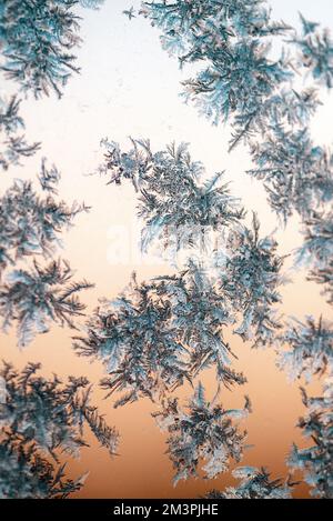 frost painted patterns on the window Stock Photo - Alamy