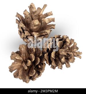 Three golden fir or pine cones, decorative element isolated on white. Stock Photo