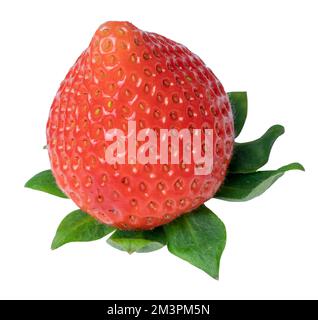 fresh strawberry red isolated on white. Stock Photo