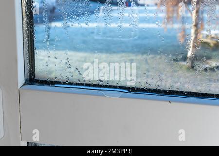 Drops of condensate and black mold on a substandard metal-plastic window. Stock Photo
