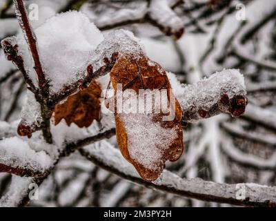 Munich, Bavaria, Germany. 16th Dec, 2022. Scenes from the Langwied district of Munich, Germany which is under steady snowfall and minus temperatures this week after a mild November. The extremely icy conditions have ld to numerous accidents on roadways. (Credit Image: © Sachelle Babbar/ZUMA Press Wire) Stock Photo