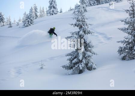 Snowboard freerider in the mountains curved and brakes spraying loose deep snow on the freeride slope. Downhill with snowboards in fresh snow. Stock Photo