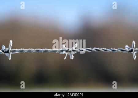 Frozen barbed wire isolated Stock Photo