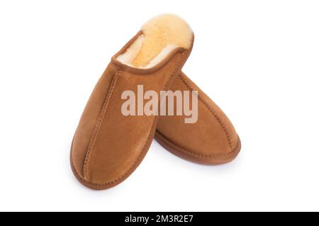 Studio shot of a pair of sheepskin mens slippers cut out against a white background - John Gollop Stock Photo