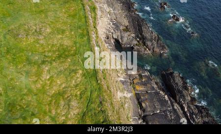 Dense thickets of grass on the shore. Grass-covered rocks on the Atlantic Ocean coast. Nature of Ireland, top view. View from above. Stock Photo