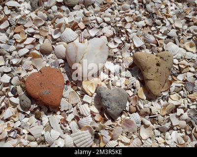 Four heart-shaped stones lying on seashells on the sea coast. Closeup Stock Photo