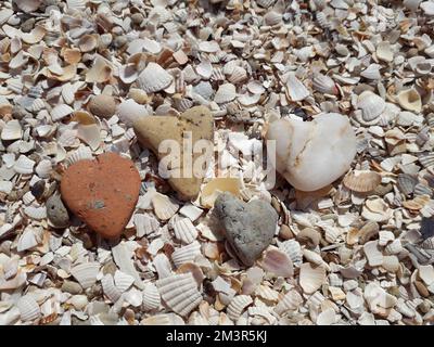 Four heart-shaped stones lying on seashells on the sea coast. Closeup Stock Photo