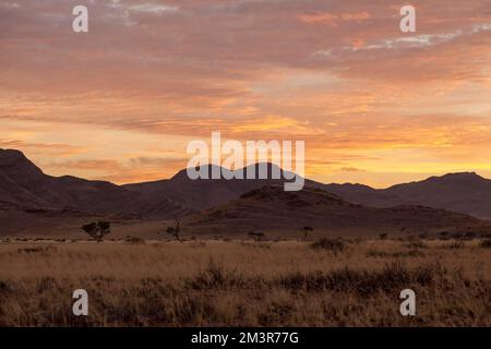 Landscape on the main C19 road, sunrise, Namibia Stock Photo