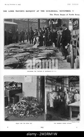 The three, somewhat grisly, stages of turtle soup for the Lord Mayor's Banquet at the Guildhall on 9 November 1903.  First picture shows the turtles being unloaded at Waterloo station, then chopped up ready for the stewpot before being simmered in large pots in the Mansion House kitchen.     Date: 1903 Stock Photo
