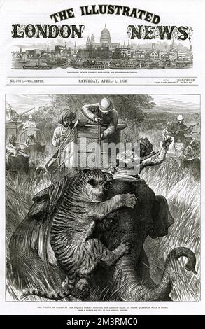 Prince of Wales, (later Edward VII) with Colonel Sir Arthur Ellis, in close quarters with tigers.  1876 Stock Photo