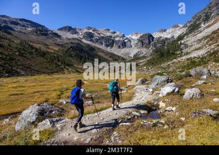 Adventurous people hiking in Canadian Mountain Landscape. Brandywine Meadows near Whistler Stock Photo