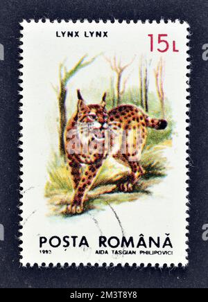 Cancelled postage stamp printed by Romania, that shows Eurasian lynx, circa 1993. Stock Photo