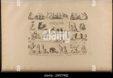 Drolleries Rabbits Some of the Drolleries of the Great Exhibition, 1851 Stock Photo - Alamy
