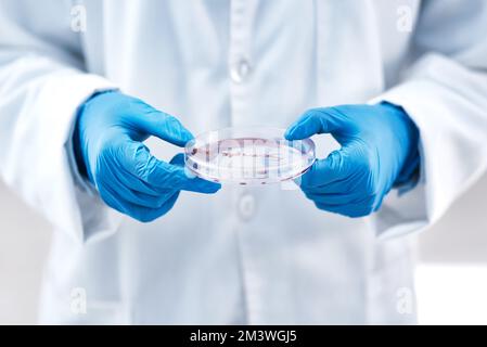 Making new discoveries in the world of science. Closeup shot of an unrecognisable scientist holding a petri dish in a lab. Stock Photo