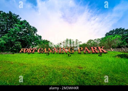 Image Traveller's tree (Ravenala madagascariensis), Fort Canning Park,  Singapore - 434261 - Images of Plants and Gardens - botanikfoto