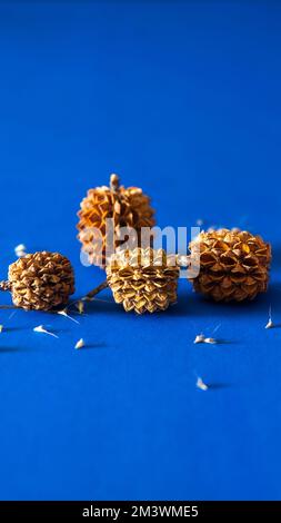 Ramadhan, Christmas and New Year greeting card concept on blue background Stock Photo