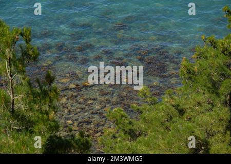 Underwater empty swimming pool background with copy space Stock Photo